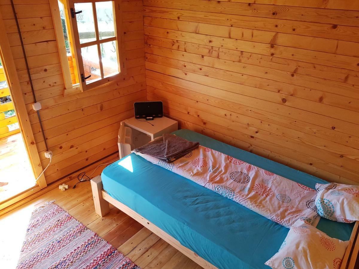 Retezat Retreat - Wood Cabin Clopotiva 외부 사진